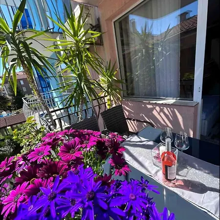 Ivy Гостевой дом Равда