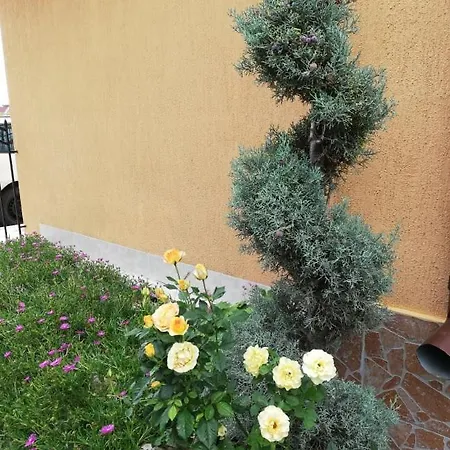 Ivy Гостевой дом 2*