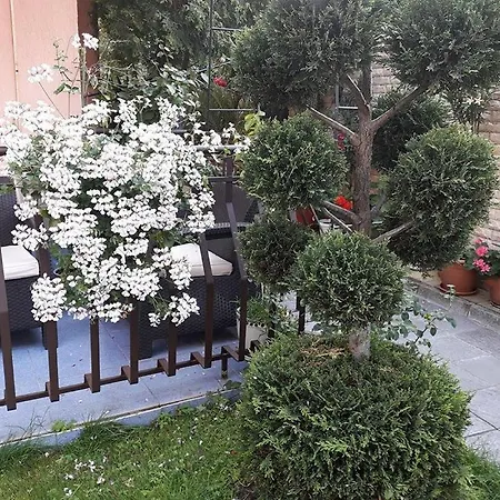 Гостевой дом Ivy