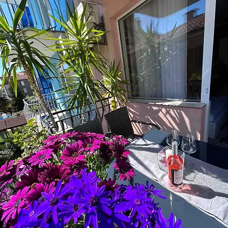 Ivy Гостевой дом Равда