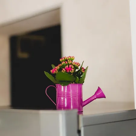 Ivy Гостевой дом 2*