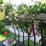 Стаи Под Наем Иви - Равда Равда