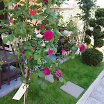 Стаи Под Наем Иви - Равда 2* Равда