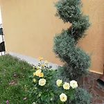 Стаи Под Наем Иви - Равда Гостевой дом 2*