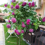 Стаи Под Наем Иви - Равда 2*