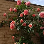 Стаи Под Наем Иви - Равда Гостевой дом