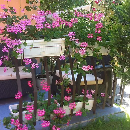 Guest House Ivy Maison d'hôtes