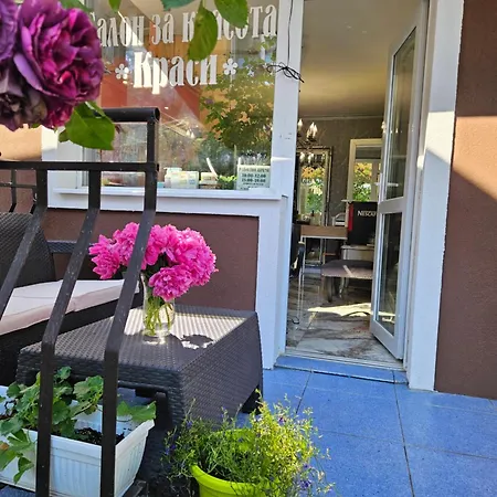 Ivy Guest house