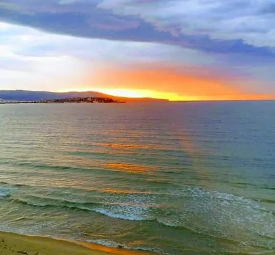 Guest House Ivy Ravda