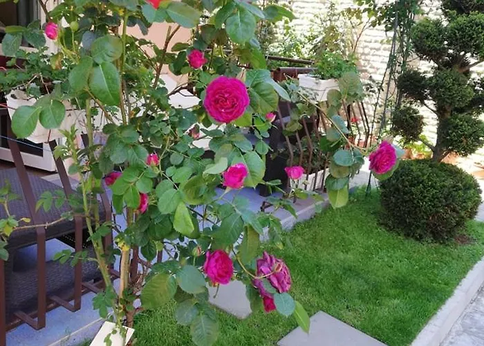 Guest House Ivy 2* Ravda