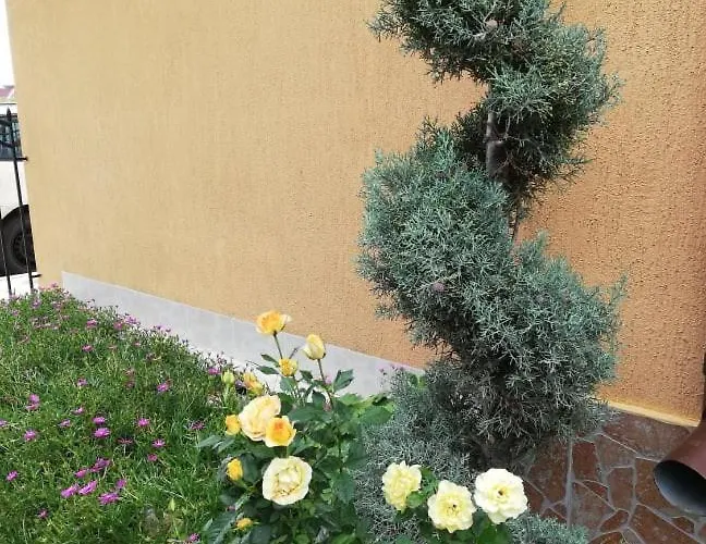 Guest House Ivy Maison d'hôtes 2*