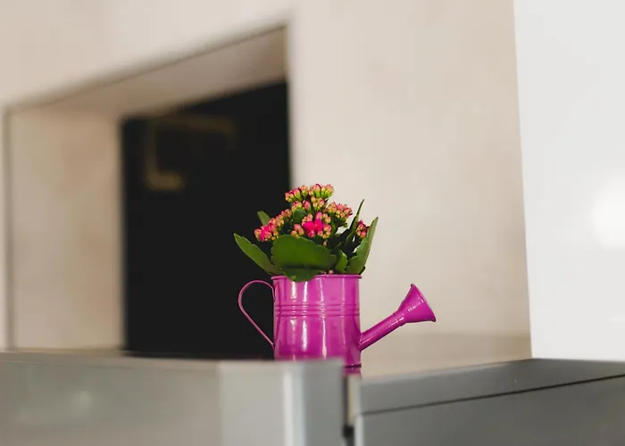 Guest House Ivy Maison d'hôtes 2*